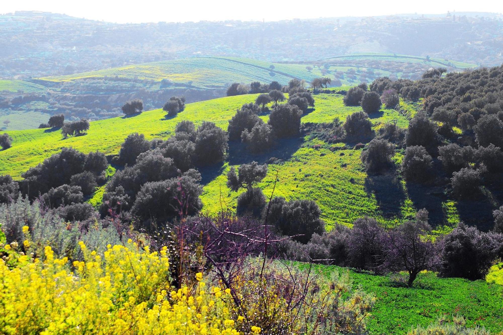 Agriturismo Giannavi Palazzolo Acreide Bagian luar foto